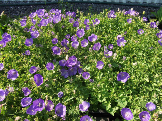 868346 (a): :2600x1950